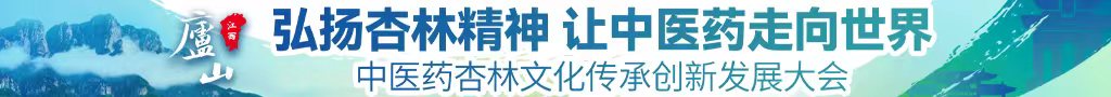 鸡巴干烧逼黄色网站中医药杏林文化传承创新发展大会